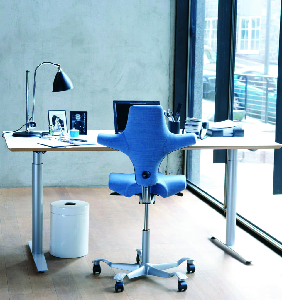Office furniture by Ergocentric